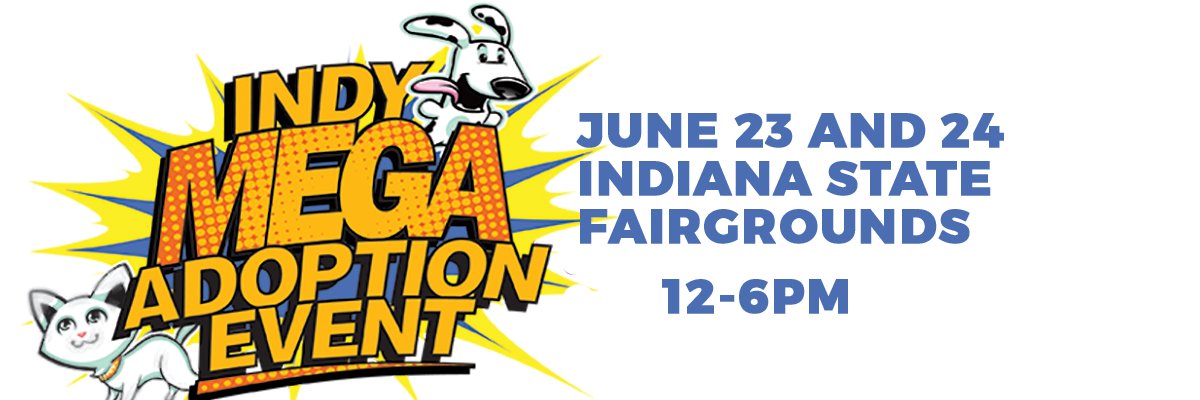 IndyMegaAdoption banner