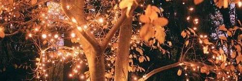 yousrayoyoo's profile banner image