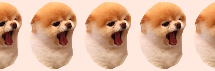 megtheflower's profile banner image