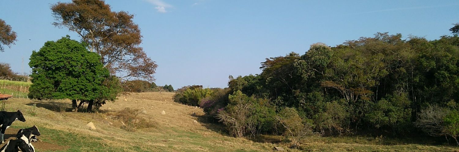 cmsouzza's profile banner image