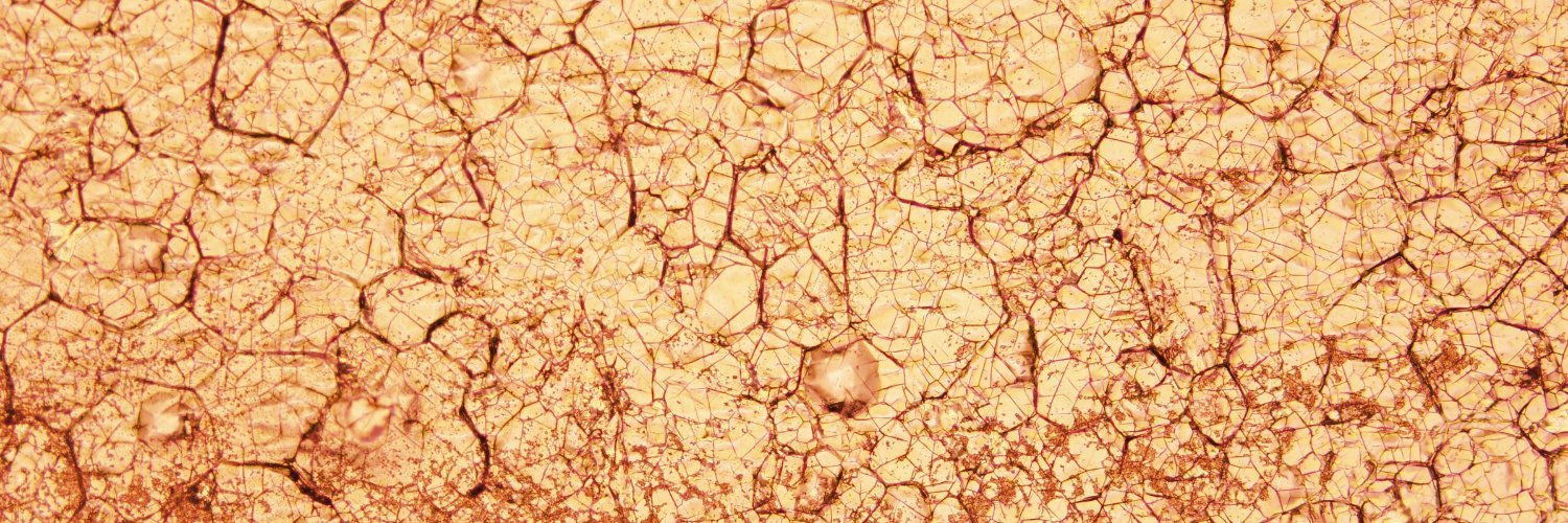 FJWells's profile banner image