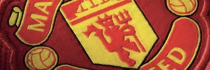 Ray Lopez banner