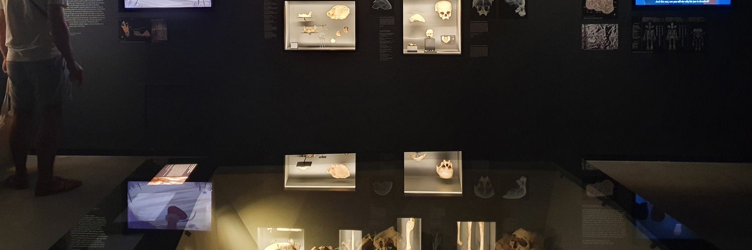 Mathilde Thouron banner