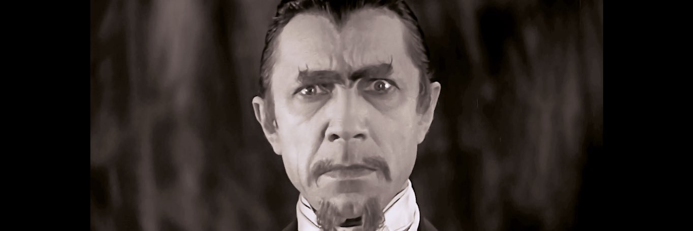 WillnerHal's profile banner image