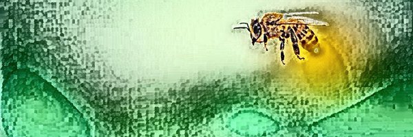 pynstory Profile Banner