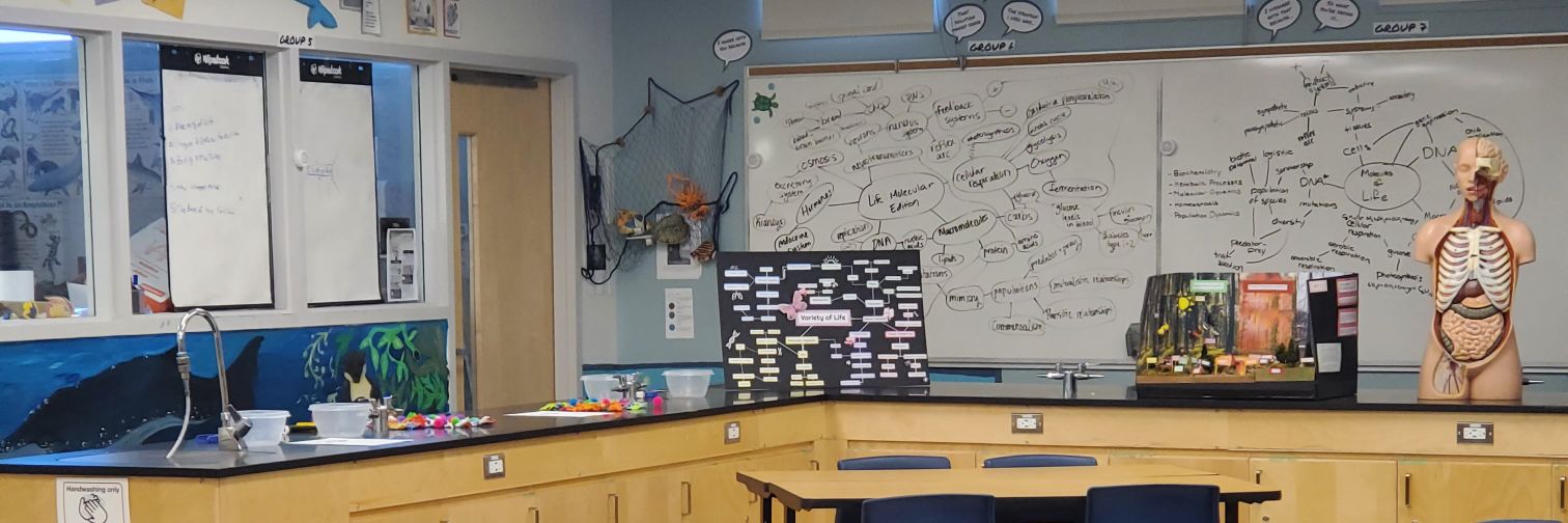 Jennifer Bancej banner