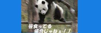 Panda_tw06's profile banner image