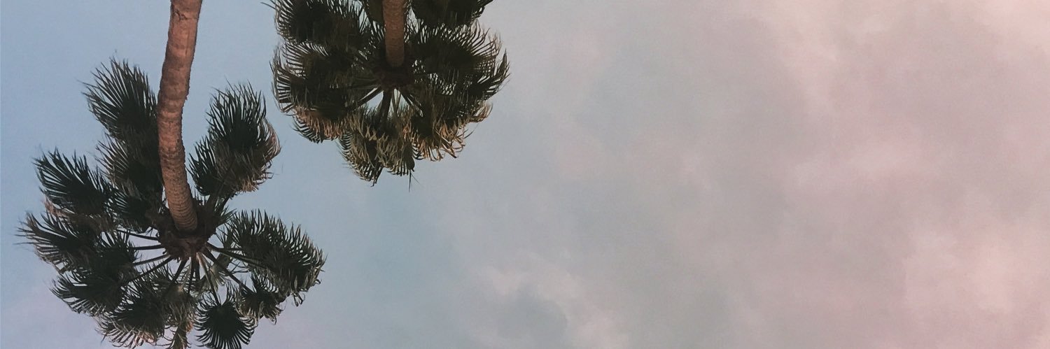 MaeveyMay's profile banner image