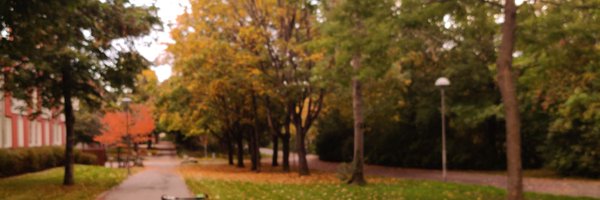 mauna_adiga Profile Banner