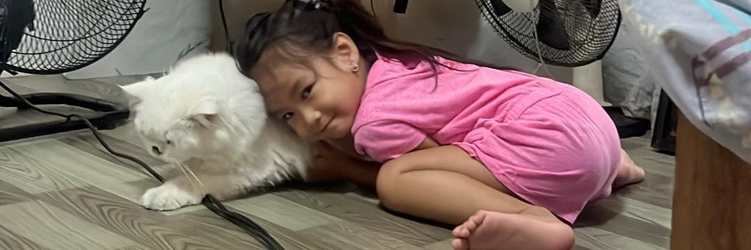 Mmijoy's profile banner image