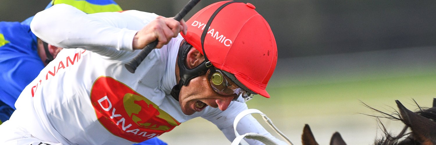 Dynamic Syndications banner