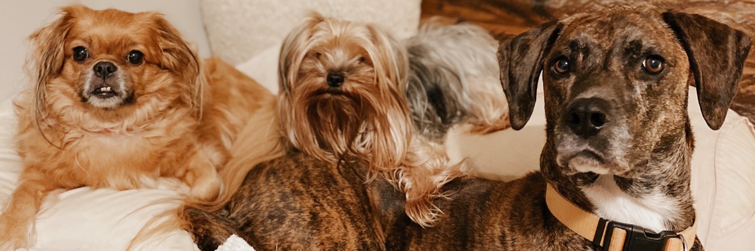 hjmilberger's profile banner image