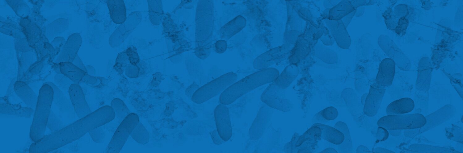 EnergyBioSci's profile banner image