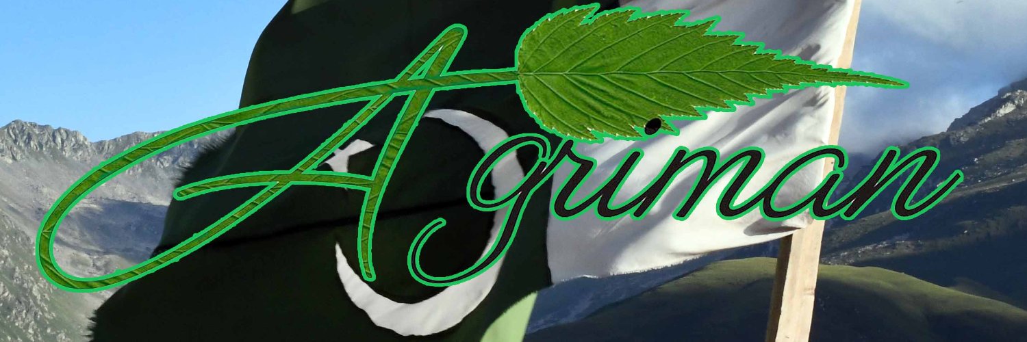 StnStbrnStlldy 4 banner