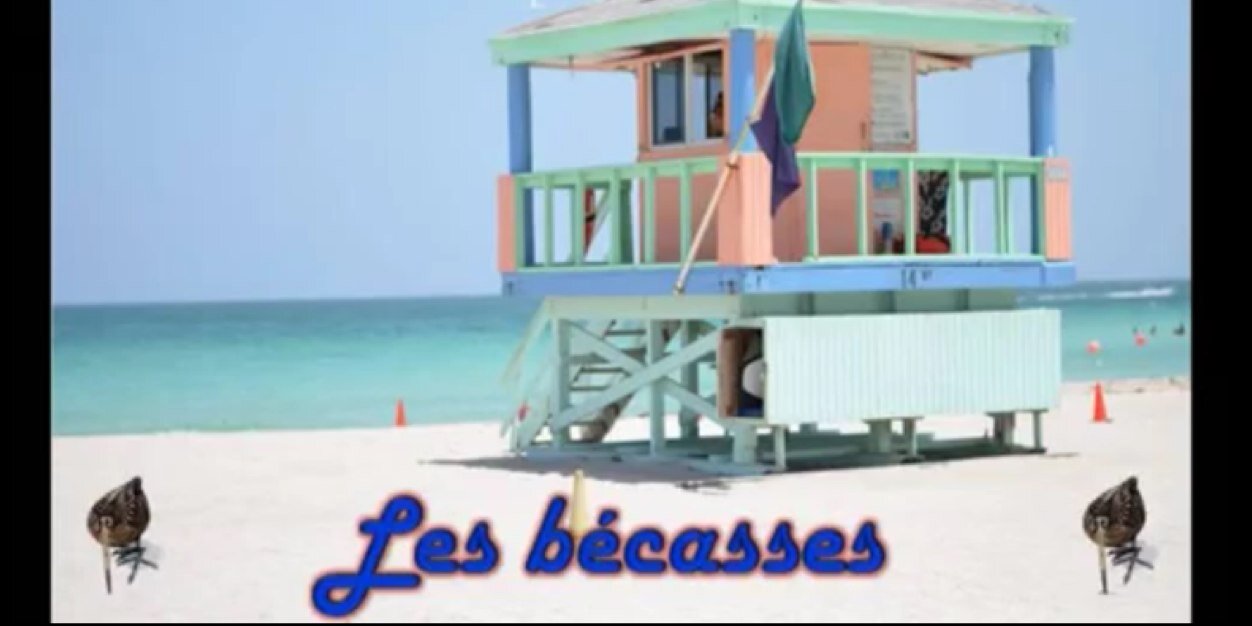 Les Bécasses banner