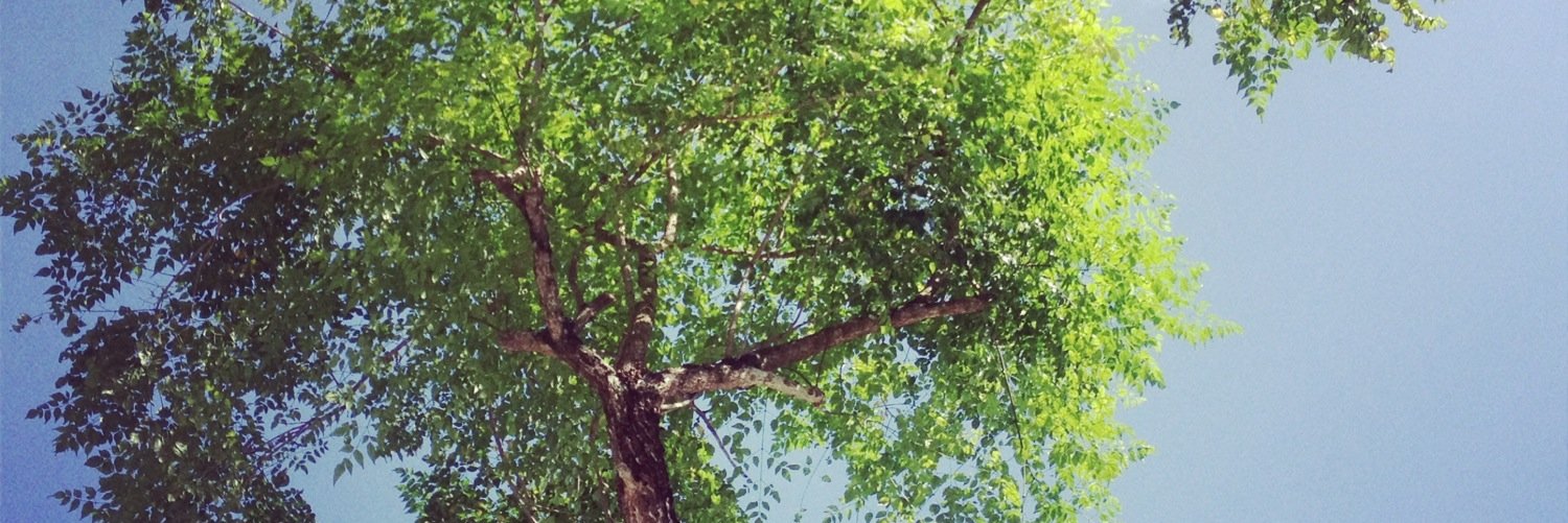 zzzling's profile banner image