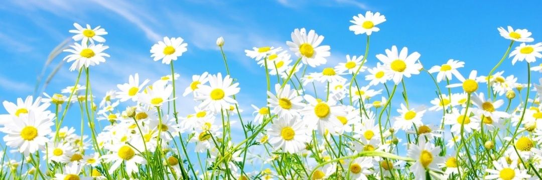 Tanyajb7's profile banner image
