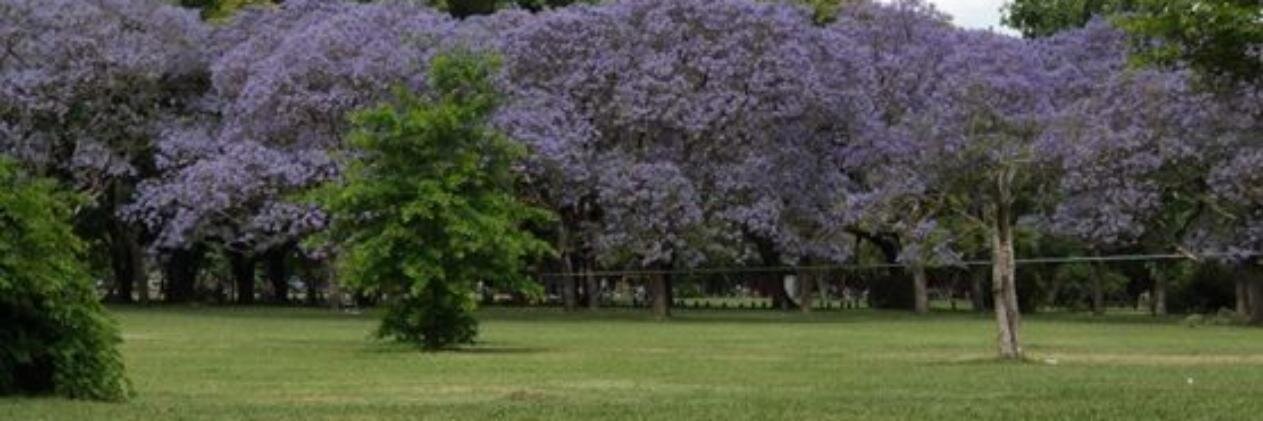 veroseg72's profile banner image