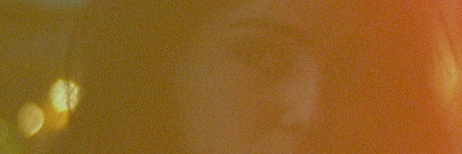 hedgecoco's profile banner image