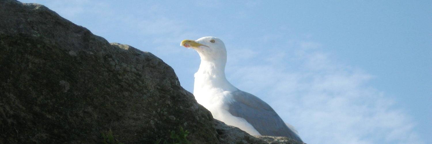 SherbyK's profile banner image