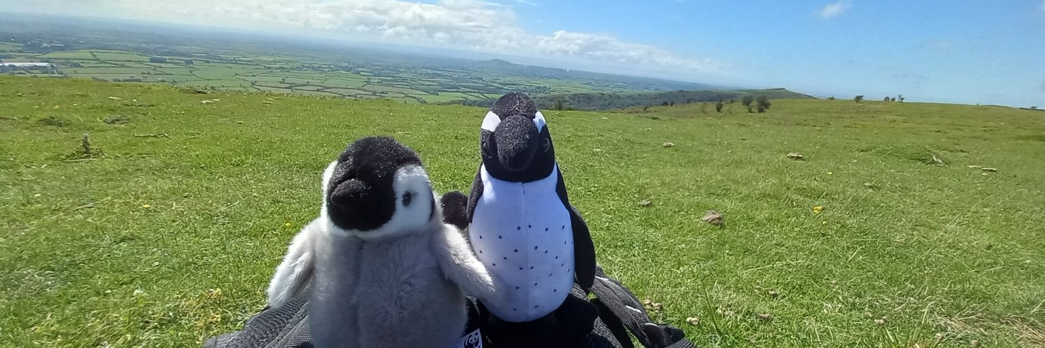 Ryan's 🐧🐧🐧 banner