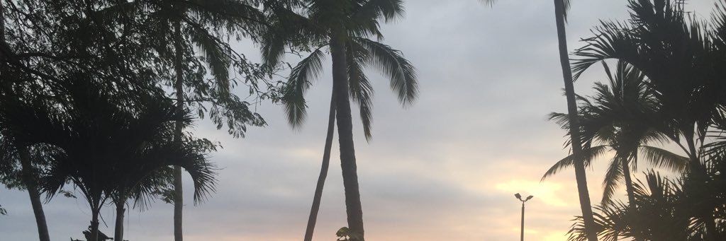 ray_shell_aus's profile banner image
