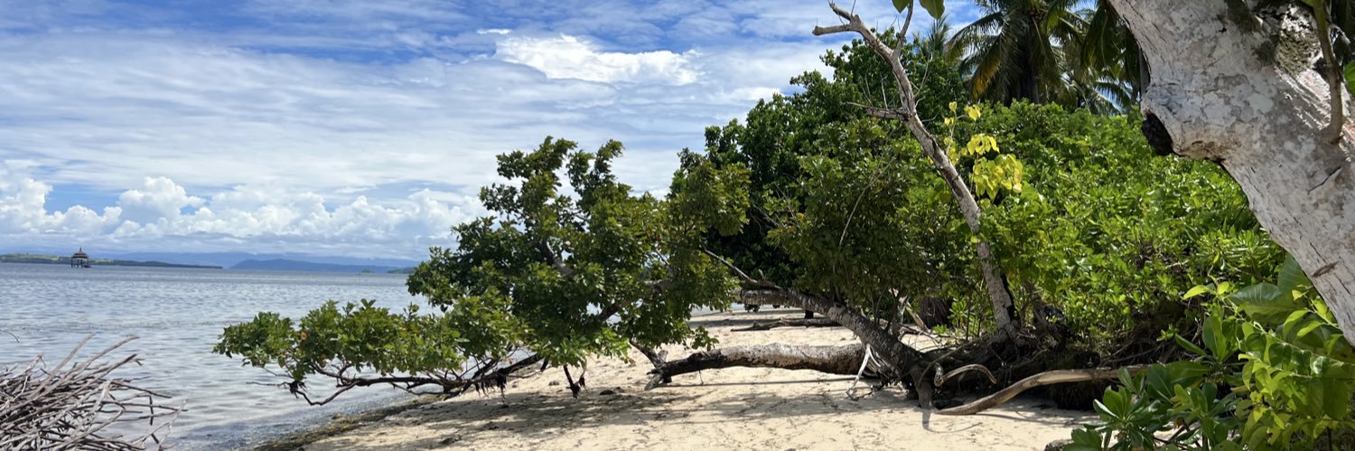 Carlos Puig banner