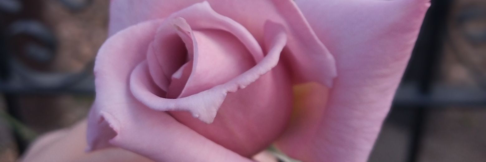 vickimoine's profile banner image