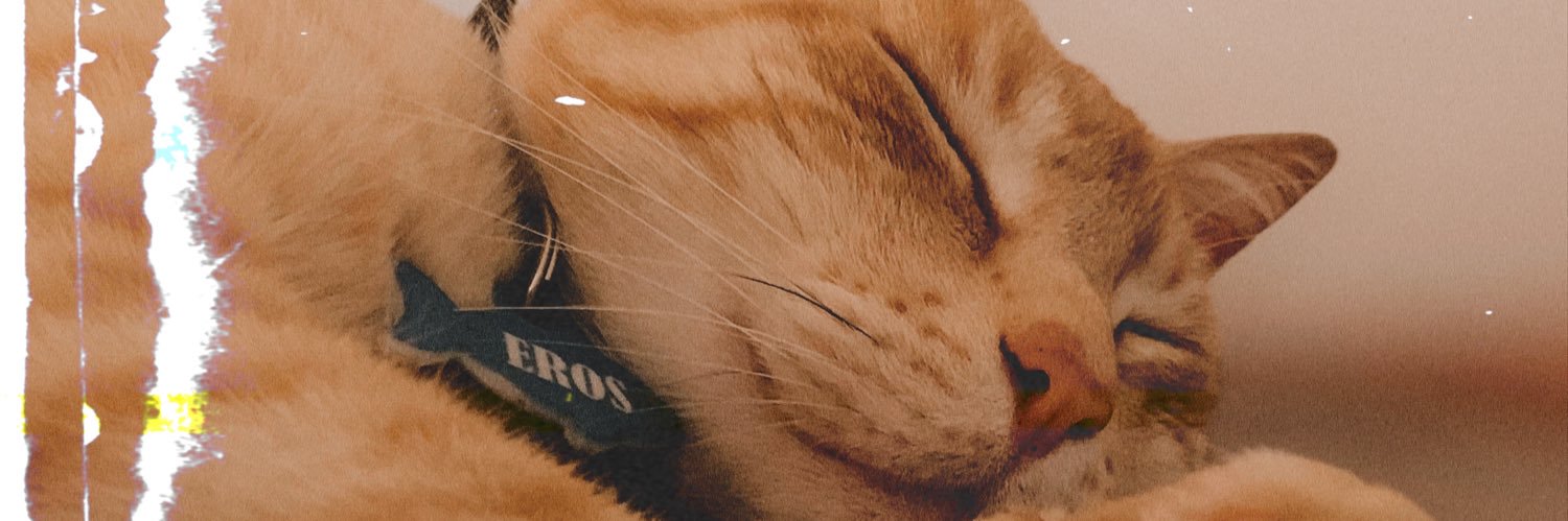 AgusL_1998's profile banner image