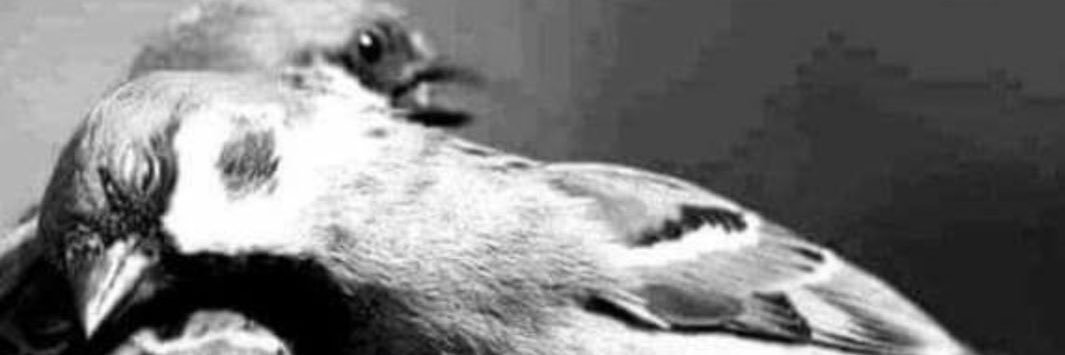 ftoom2215's profile banner image
