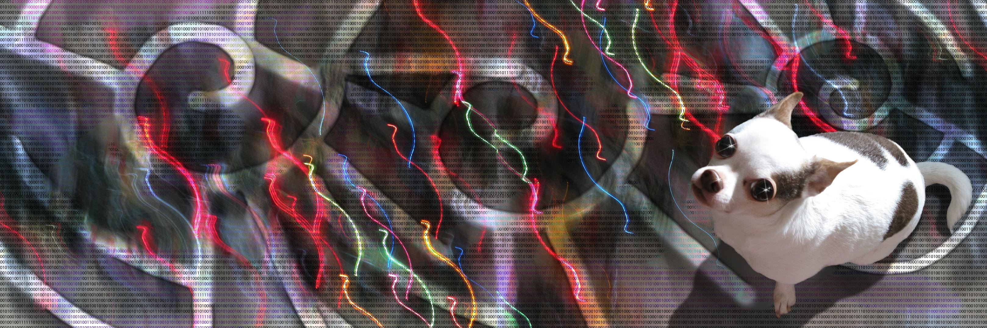 fedge banner