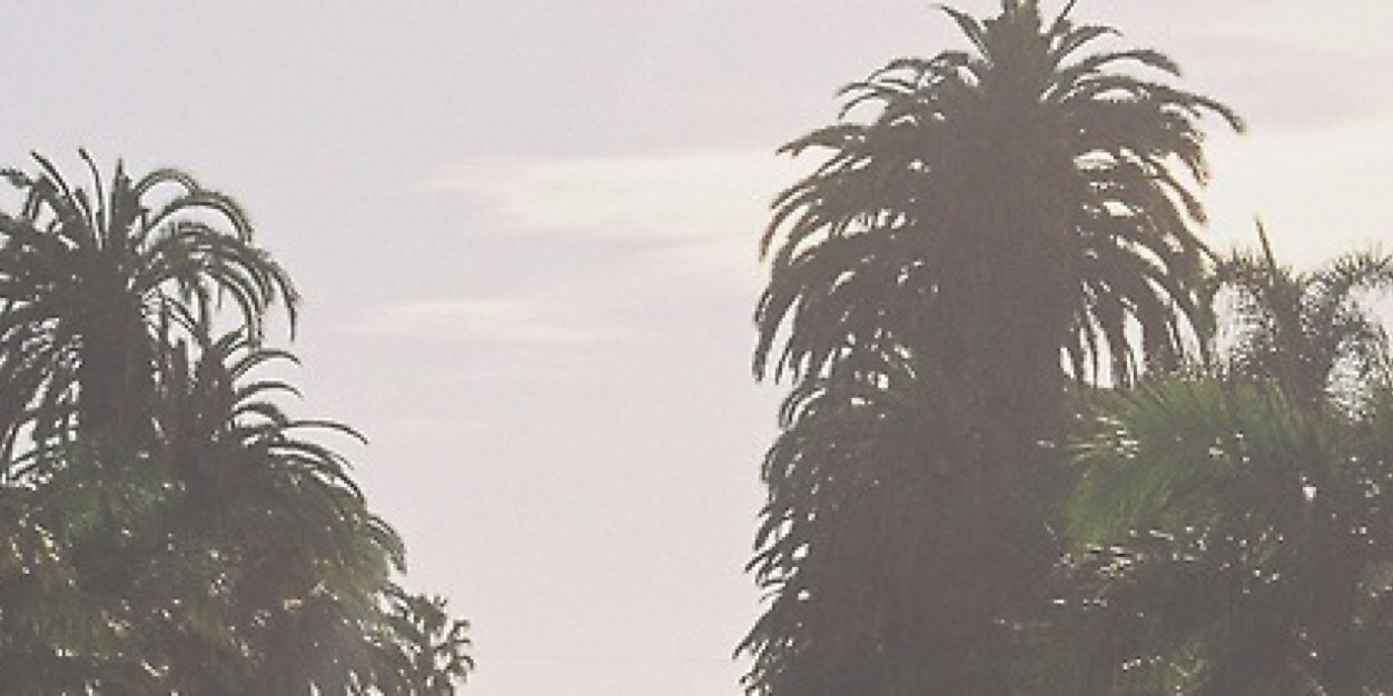 josolgdr's profile banner image