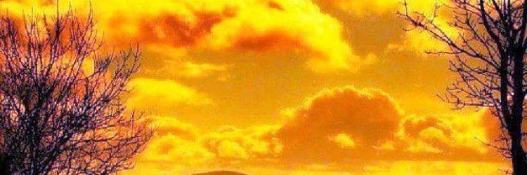 jesspta's profile banner image