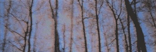 cas_mauri89's profile banner image