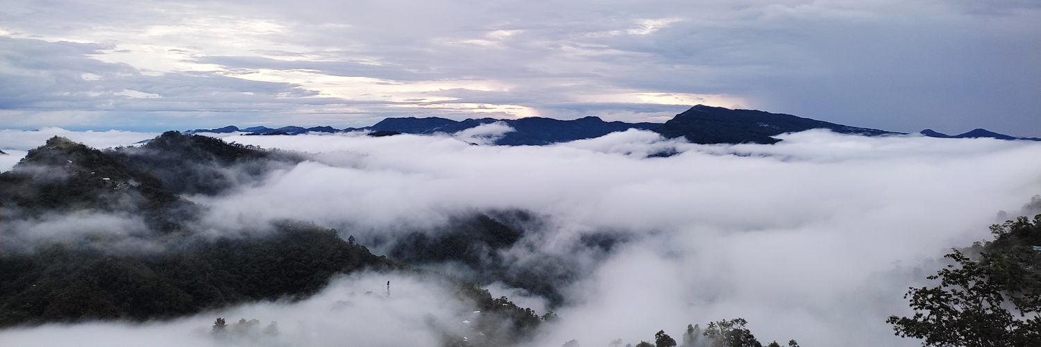 MarySTluangi's profile banner image