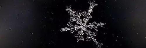 icequeenofnorth's profile banner image