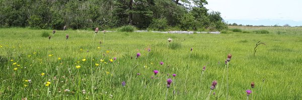EcoEire Profile Banner