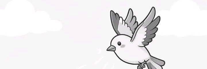 بلقيس✨ banner