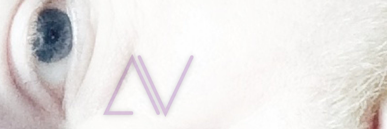 deltaviolin's profile banner image