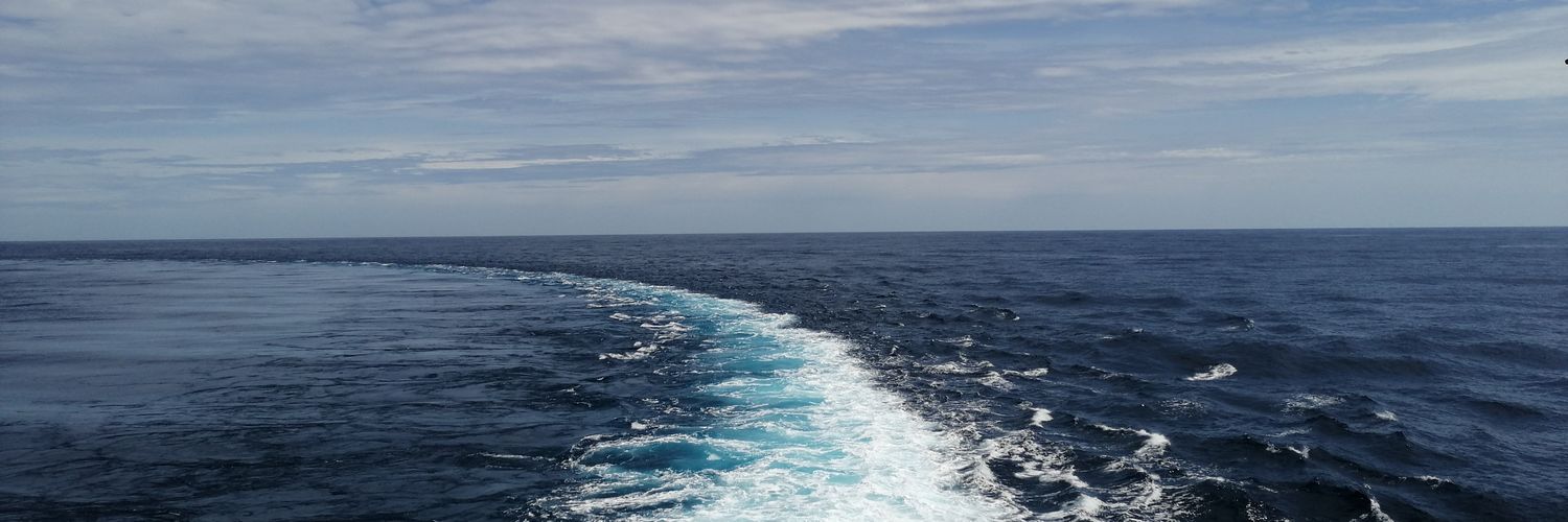 Amelie 🐝🌼🦞 banner