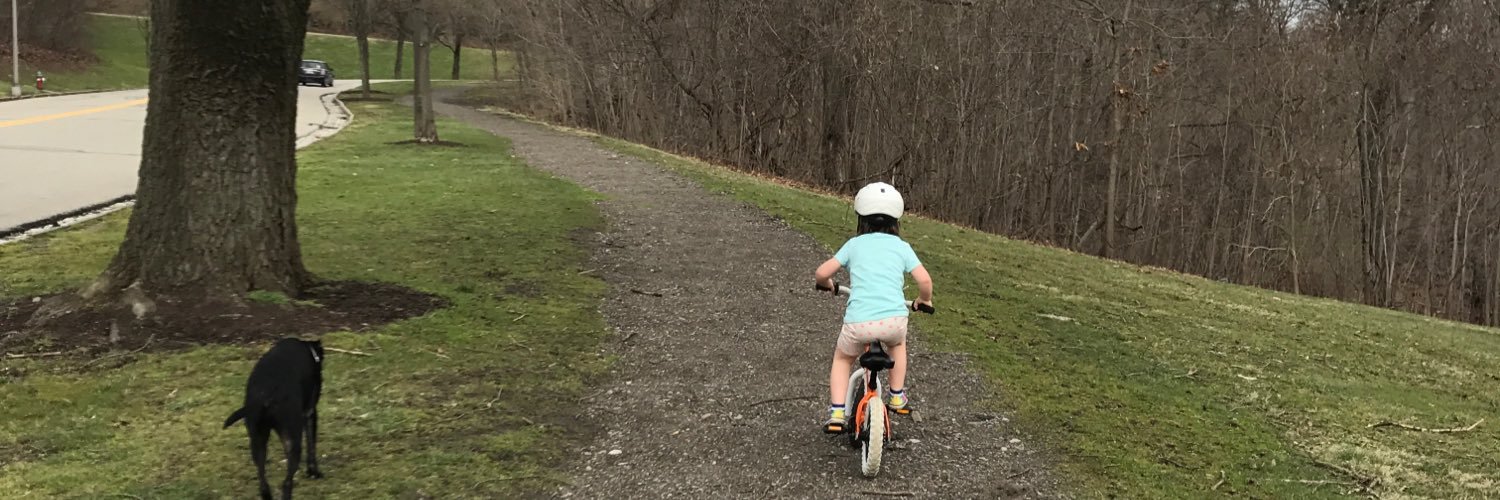 Vanessa Jameson banner