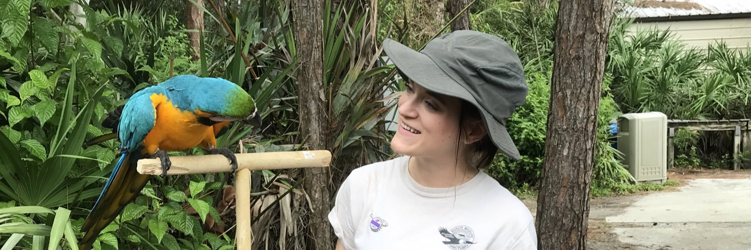 taylorbertolini's profile banner image