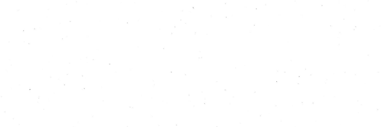 biregitimneferi's profile banner image