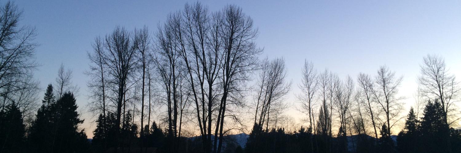 gemmaagraham's profile banner image