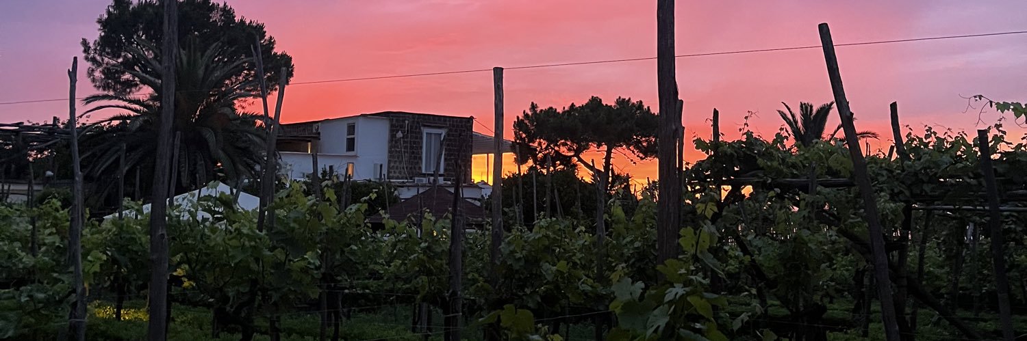 PolettiDominick's profile banner image