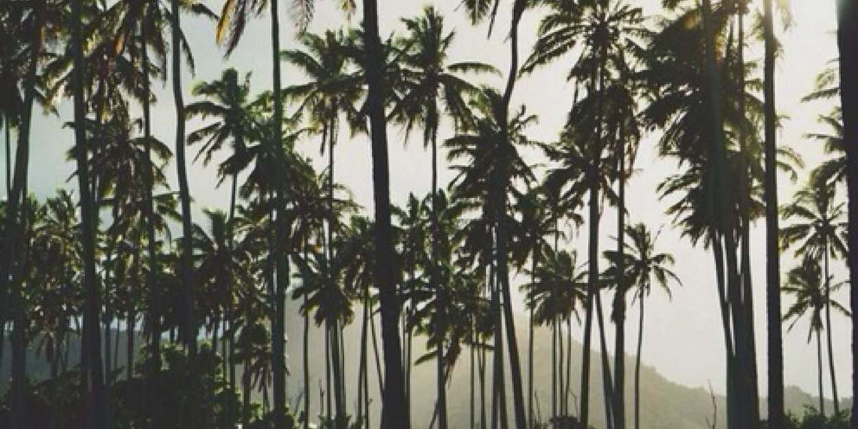 DemiRPGCC's profile banner image