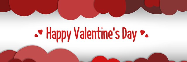 Lisa Frank Poston banner