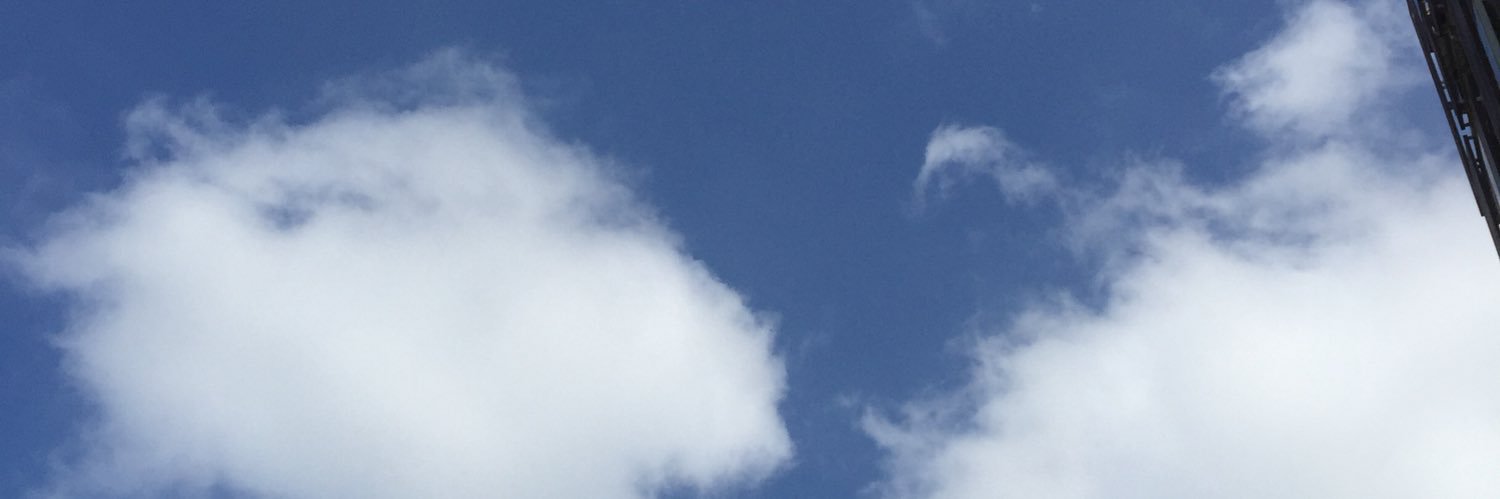 chicoblu12's profile banner image