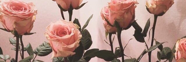 Jordan🌸 banner