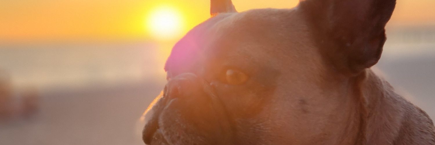 Murat Yucel 🔆 banner